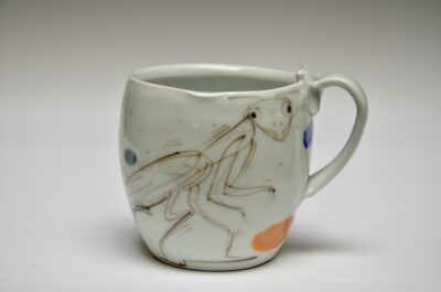 Preying Mantis Suspect